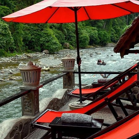 Ecotravel Cottages Bukit Lawang Extérieur photo