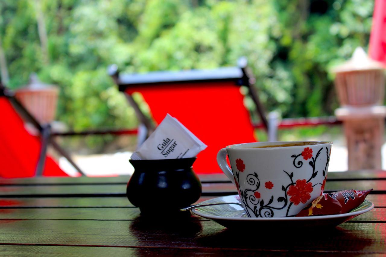 Ecotravel Cottages Bukit Lawang Extérieur photo