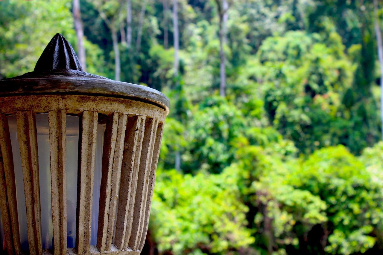 Ecotravel Cottages Bukit Lawang Extérieur photo