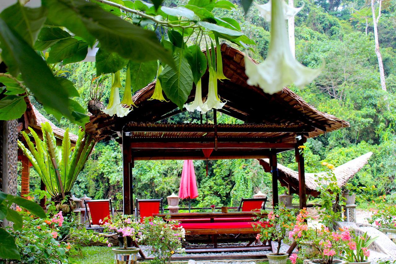 Ecotravel Cottages Bukit Lawang Extérieur photo