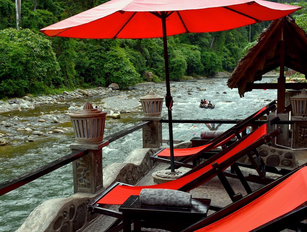 Ecotravel Cottages Bukit Lawang Extérieur photo