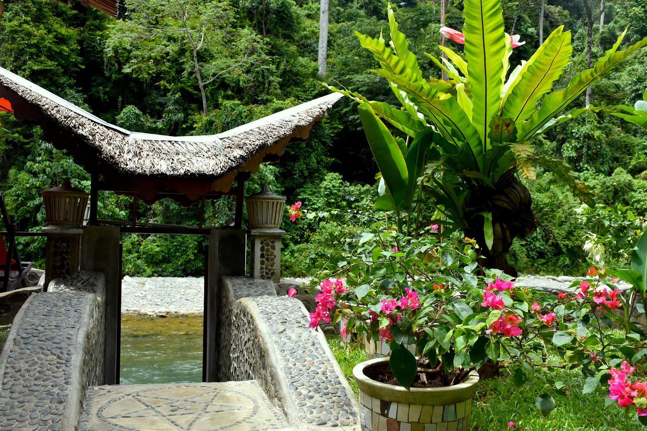 Ecotravel Cottages Bukit Lawang Extérieur photo